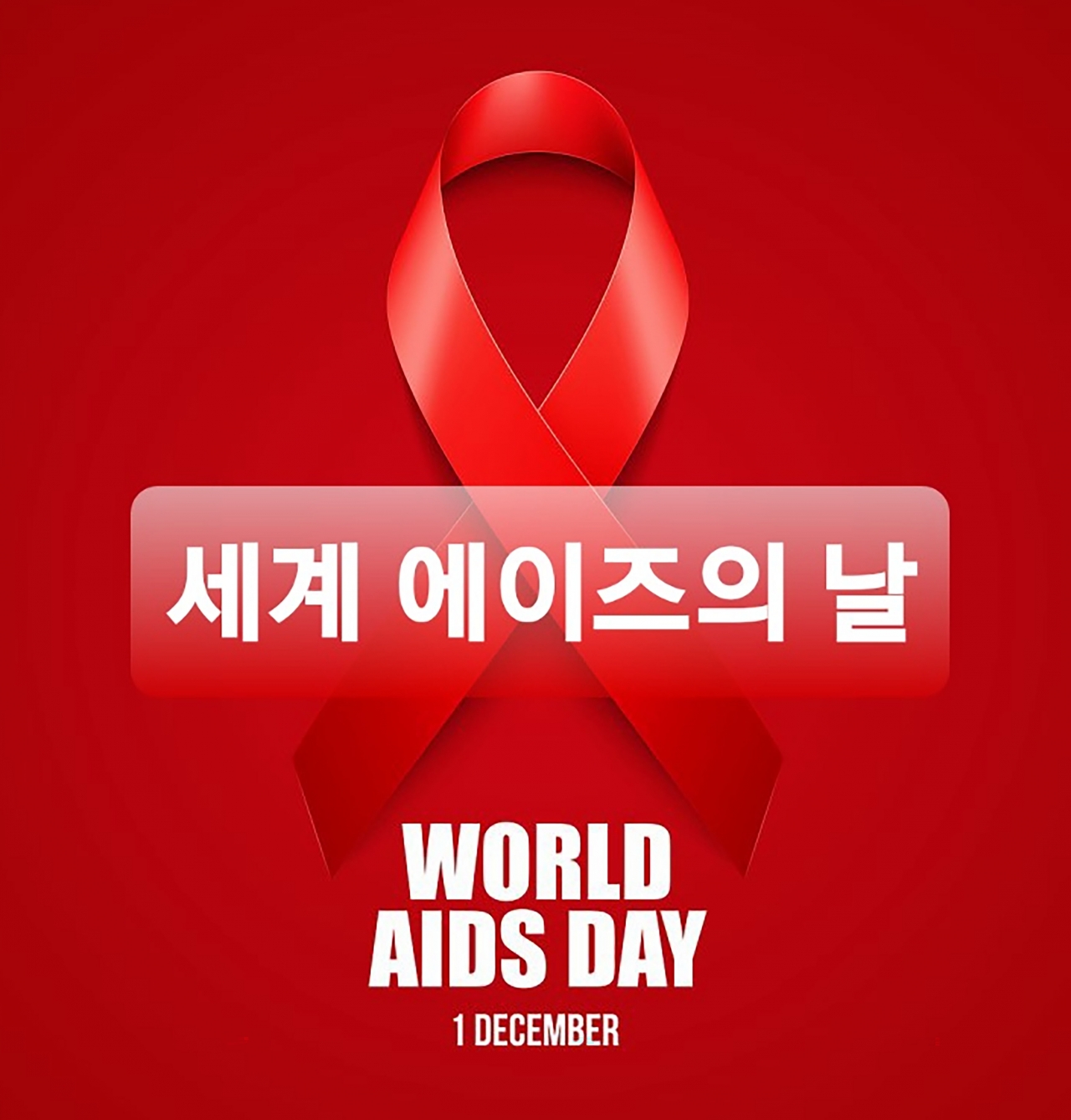 성남시 세계 에이즈의 날 홍보 이미지
